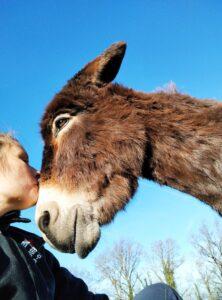 le toucher en médiation animale