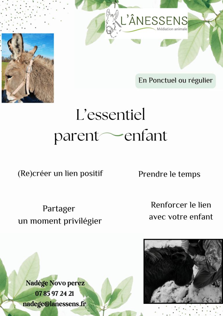 l'essentiel parent~enfant ou comment créer et renforcer des liens positifs au sein de la famille